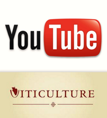 You-Tube Videos: Viticulture